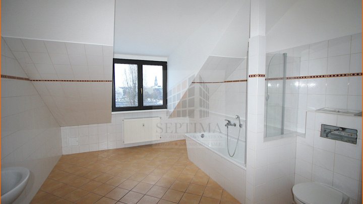 Großzügige und helle 2 Raumwohnung im Dachgeschoß mit Balkon und Blick auf den Zoo